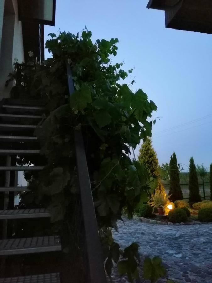 Sloneczne Zacisze Apartment Wicko  Luaran gambar